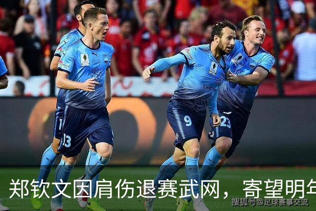 郑钦文因肩伤退赛武网，寄望明年重返赛场